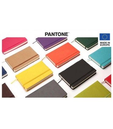 CARNET LIGNE RIGIDE PANTONE® - PAN01