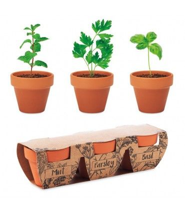 ENSEMBLE DE 3 POTS EN TERRE CUITE FLOWERPOT - MO6145