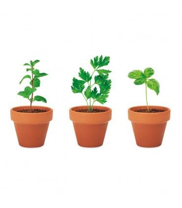 ENSEMBLE DE 3 POTS EN TERRE CUITE FLOWERPOT - MO6145