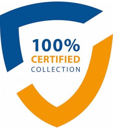 MASQUE FILTRANT FFP2 (boîte de 50 pièces) - 629317