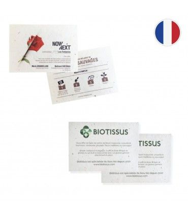 FLYER QUI GERME ET POUSSE | ref. IDG14