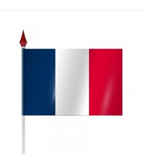 DRAPEAU A AGITER FRANCE - F010/015