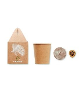 POT AVEC GRAINES DE PIN GROWTREE - MO6228