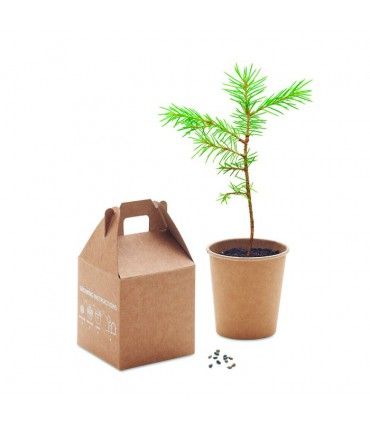 POT AVEC GRAINES DE PIN GROWTREE - MO6228