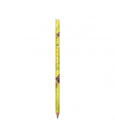 CRAYON A PAPIER COULEUR BOUT COUPE | ref :  1150