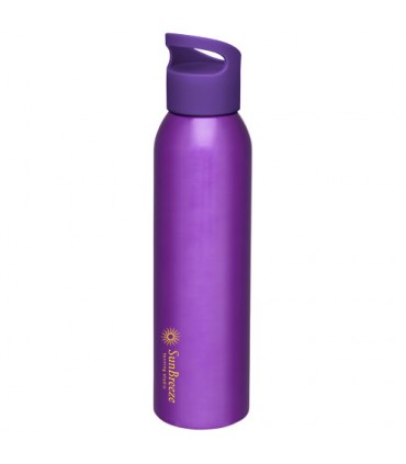 BOUTEILLE SIMPLE PAROI 650ml - 10065390