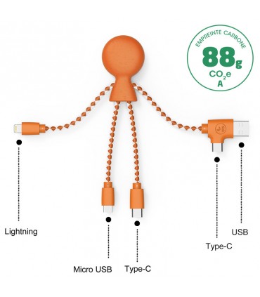 CABLE DE CHARGE MULTI-CONNECTEURS - MR BIO