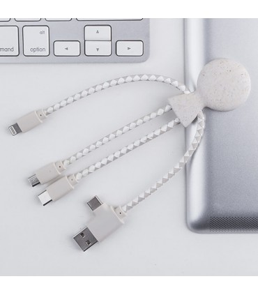 CABLE DE CHARGE MULTI-CONNECTEURS - MR BIO