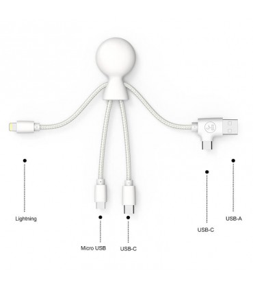 CABLE DE CHARGE MULTI-CONNECTEURS - MR BIO SMART