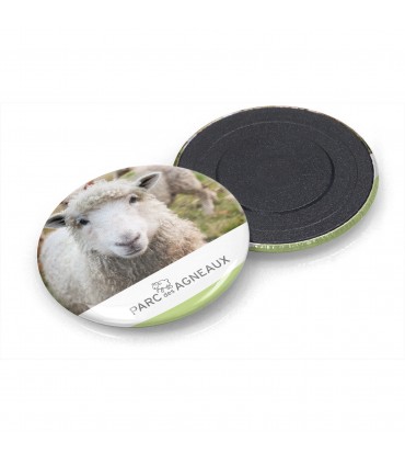 Magnet bouton français