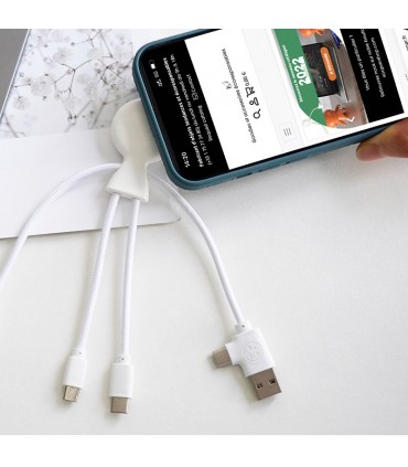 CABLE DE CHARGE MULTI-CONNECTEURS - MR BIO SMART