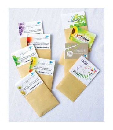 SACHET DE GRAINES KRAFT | ref : IDG08