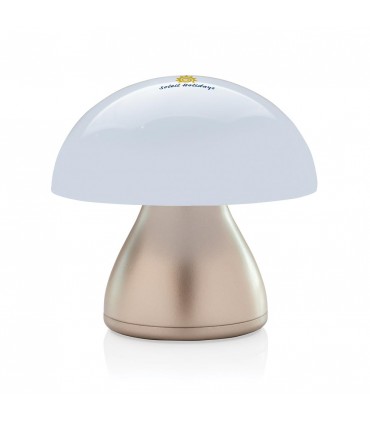 LAMPE DE TABLE USB RECHARGEABLE LUMING - P513.749