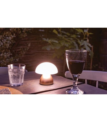 LAMPE DE TABLE USB RECHARGEABLE LUMING - P513.749