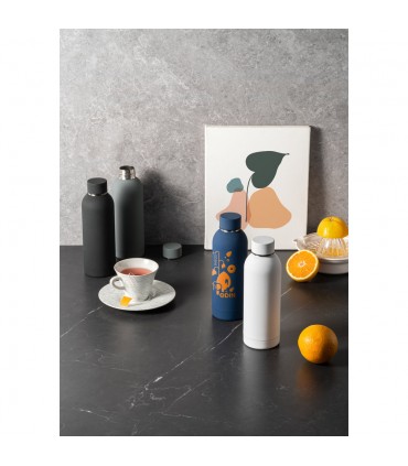 BOUTEILLE EN ACIER INOXYDABLE 550 ML - 94603