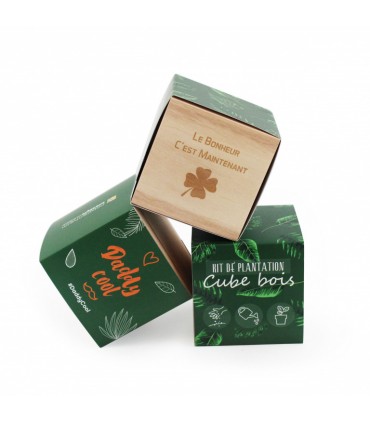 CUBE BOIS GRAINES - IDG74