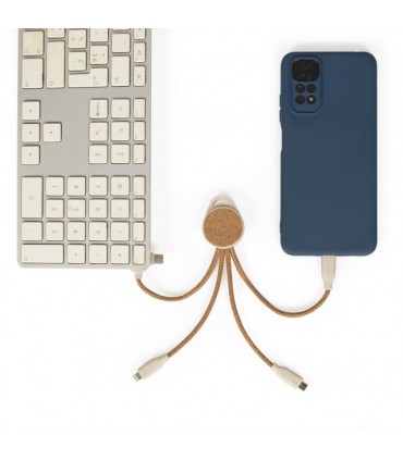 Câble de charge multi-embouts - TEA314