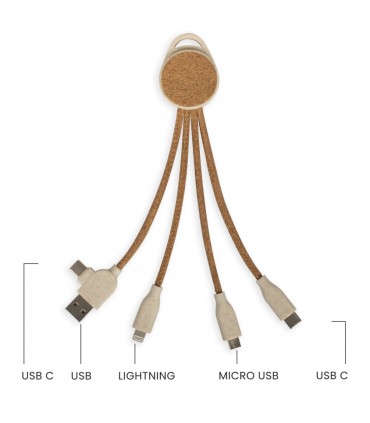 Câble de charge multi-embouts - TEA314