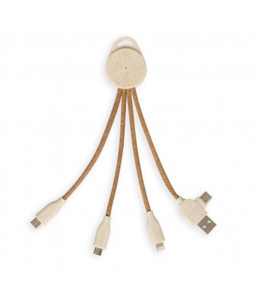 Câble de charge multi-embouts - TEA314