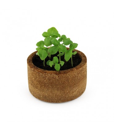 KIT DE PLANTATION POT LIEGE - IDG99