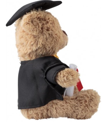 PELUCHE OURS DIPLOME ECOLE - 1041694