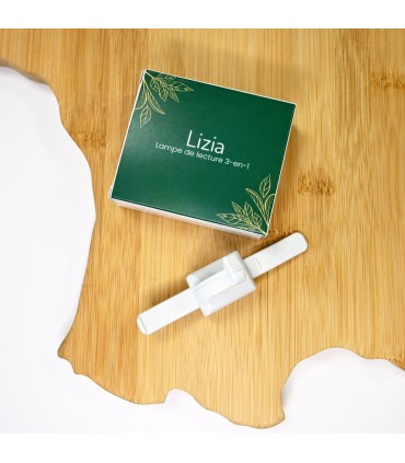 LAMPE DE LECTURE FRANCAISE 3-en-1