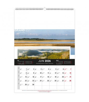 Calendrier mural illustré 12 feuillets