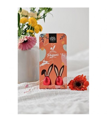 Pochette 2 Oeufs Lait ou noir Praliné personnalisée