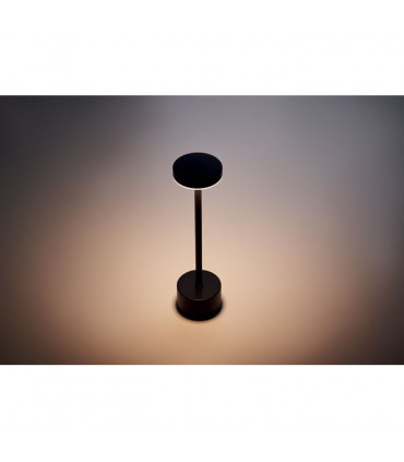 Lampe de table LED en aluminium tactile personnalisable