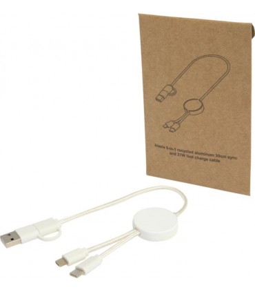 Câble publicitaire Citala 5-en-1 en plastique recyclé 30 cm charge rapide 27W