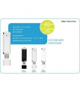 CLE USB CAPUCHON | ref :  1Z34220