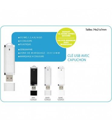 CLE USB CAPUCHON | ref :  1Z34220