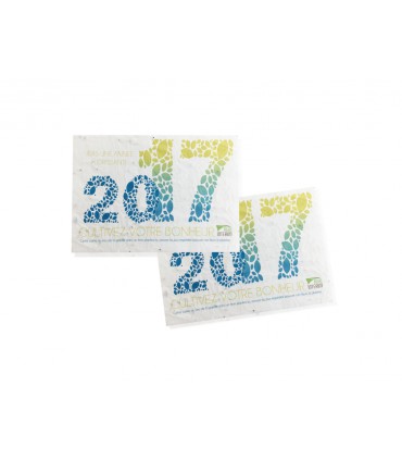 FLYER QUI GERME ET POUSSE | ref. IDG14