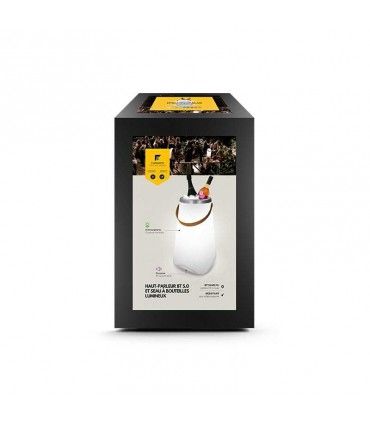 SEAU A BOUTEILLES LUMINEUX & ENCEINTE BT5.0 10 W| ref :  HP670